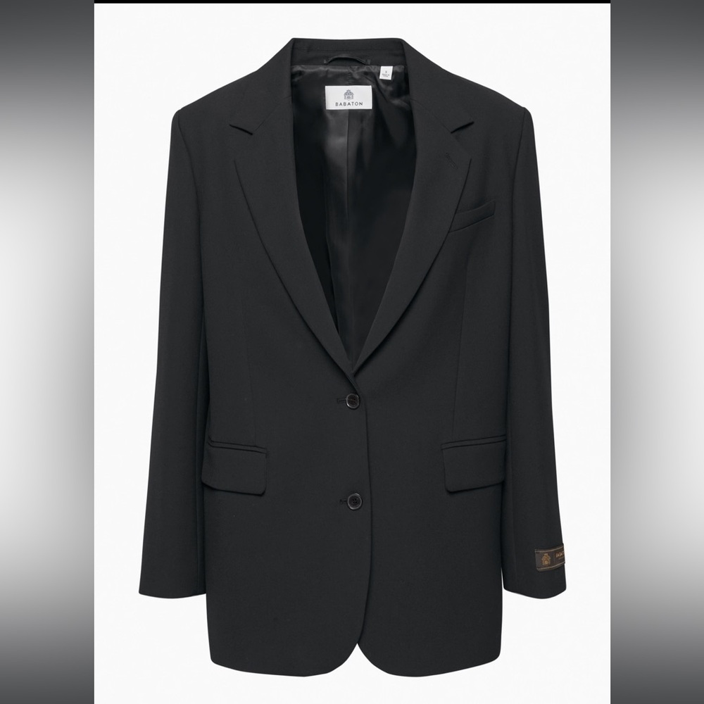Aritzia Blazer